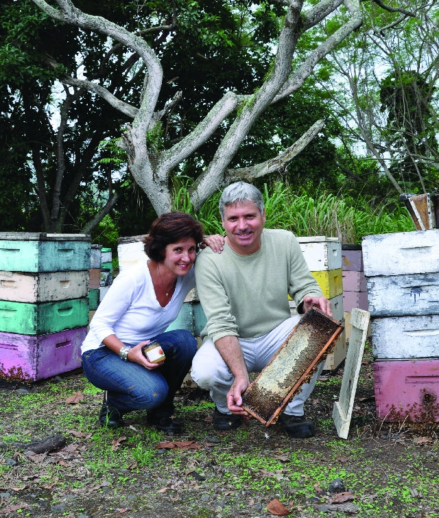 BIG ISLAND BEES